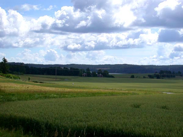 Schwedische Landschaft II