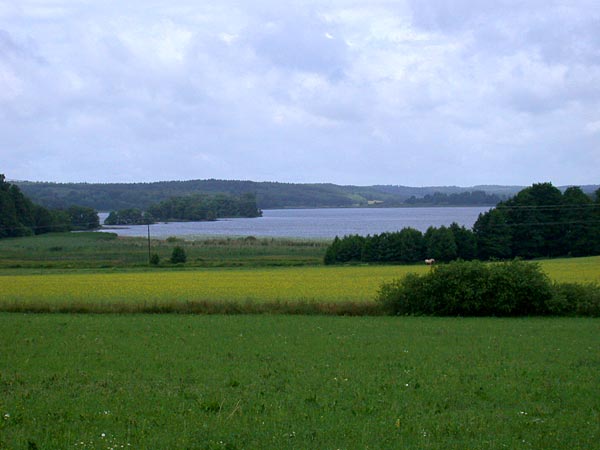 Schwedische Landschaft VI