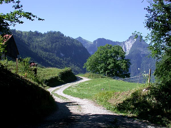 Montbovon - Waadtlnder Alpen...